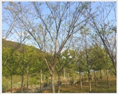  2023Ÿ��1420  �����