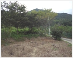  2023Ÿ��1420  �����