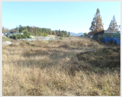  2023Ÿ��2133  ������