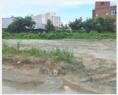  2023Ÿ��12338 �泲 â�籺 ������ ������ 706-3      ����(����)���