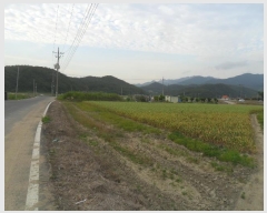  2023Ÿ588 泲 â籺 輺 輺 941-3      