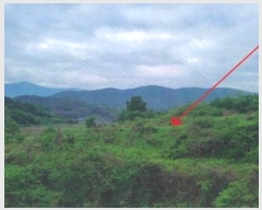  2023Ÿ��762 �泲 �о�� ���ȸ� ������ 614      ����(��1)���