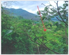  2023Ÿ��762 �泲 �о�� ���ȸ� ������ 614      ����(��1)���