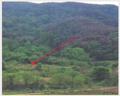  2023Ÿ��762 �泲 �о�� ���ȸ� ������ 614      ����(��1)���