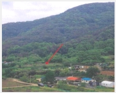  2023Ÿ��762 �泲 �о�� ���ȸ� ������ 614      ����(��1)���