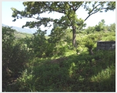  2023Ÿ��762 �泲 �о�� ���ȸ� ������ 614      ����(��1)���