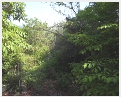  2023Ÿ��762 �泲 �о�� ���ȸ� ������ 614      ����(��1)���