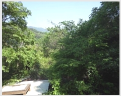  2023Ÿ��762 �泲 �о�� ���ȸ� ������ 614      ����(��1)���