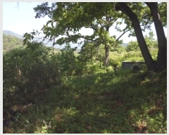  2023Ÿ��762 �泲 �о�� ���ȸ� ������ 614      ����(��1)���