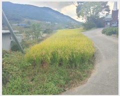  2023Ÿ��1963 �泲 â�籺 ����� ��긮 1428-1      ����(��)���