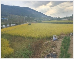  2023Ÿ��1963 �泲 â�籺 ����� ��긮 1428-1      ����(��)���