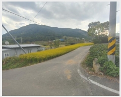  2023Ÿ��1963 �泲 â�籺 ����� ��긮 1428-1      ����(��)���