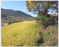  2023Ÿ��1963 �泲 â�籺 ����� ��긮 1428-1      ����(��)���