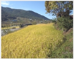  2023Ÿ��1963 �泲 â�籺 ����� ��긮 1428-1      ����(��)���