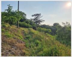  2023Ÿ11144 泲 о 󳲸 긮 1023      (Ӿ)