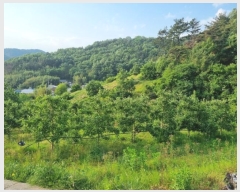  2023Ÿ11144 泲 о 󳲸 긮 1023      (Ӿ)