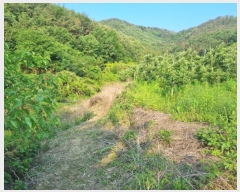  2023Ÿ11144 泲 о 󳲸 긮 1023      (Ӿ)