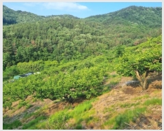  2023Ÿ11144 泲 о 󳲸 긮 1023      (Ӿ)