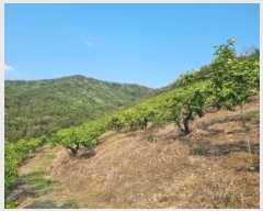  2023Ÿ11144 泲 о 󳲸 긮 1023      (Ӿ)