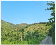  2023Ÿ11144 泲 о 󳲸 긮 1023      (Ӿ)