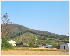  2023Ÿ11144 泲 о 󳲸 긮 1023      (Ӿ)