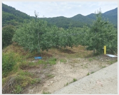  2023Ÿ11441 泲 о 곻 Ӱ 687      ()