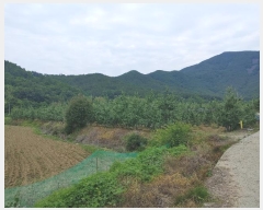  2023Ÿ11441 泲 о 곻 Ӱ 687      ()