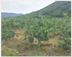  2023Ÿ11441 泲 о 곻 Ӱ 687      ()