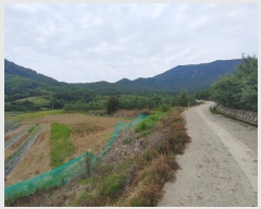  2023Ÿ11441 泲 о 곻 Ӱ 687      ()