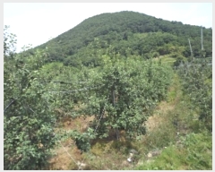  2023Ÿ11441 泲 о 곻 Ӱ 687      ()