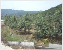  2023Ÿ11441 泲 о 곻 Ӱ 687      ()