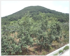  2023Ÿ11441 泲 о 곻 Ӱ 687      ()