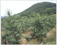  2023Ÿ11441 泲 о 곻 Ӱ 687      ()