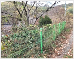  2023Ÿ��12826 �泲 �о�� ������� �� 1339      ����(��)���