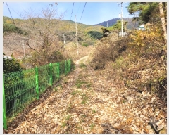  2023Ÿ��12826 �泲 �о�� ������� �� 1339      ����(��)���