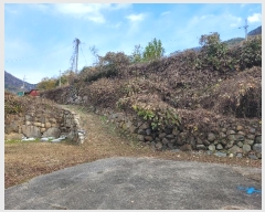  2023Ÿ��12826 �泲 �о�� ������� �� 1339      ����(��)���