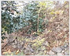  2023Ÿ��12826 �泲 �о�� ������� �� 1339      ����(��)���