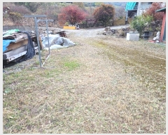  2023Ÿ��12826 �泲 �о�� ������� �� 1339      ����(��)���