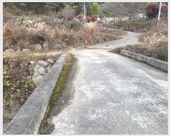  2023Ÿ��12826 �泲 �о�� ������� �� 1339      ����(��)���