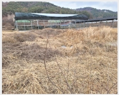  2023Ÿ��13034 �泲 â�籺 ����� ���Ҹ� 138-5      ����(��)���