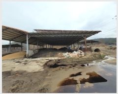  2023Ÿ��13034  â�����