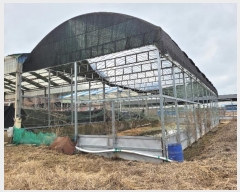  2023Ÿ��13034 �泲 â�籺 ����� ���Ҹ� 135-3      �������