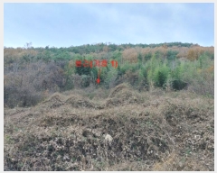  2023Ÿ��1133  �������