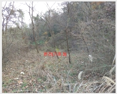  2023Ÿ��1133  �������