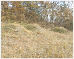  2023Ÿ��1133  �������