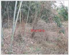  2023Ÿ��1133  �������