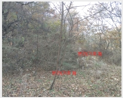  2023Ÿ��1133  �������