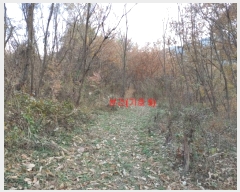  2023Ÿ��1133  �������