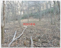  2023Ÿ1232 泲 Ծ籺 ϸ  2310      ()