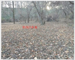  2023Ÿ1232 泲 Ծ籺 ϸ  2310      ()